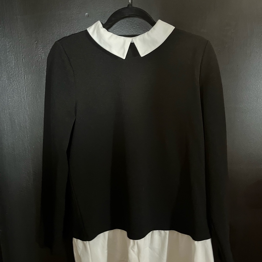 Adrianna Papell Black and Cream Collared Top